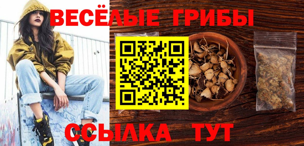 Армавир  Галлюциногенные грибы прущие грибы  Вход с VPN 